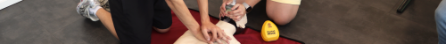 BLS-AED-SRC Complet (Generic Provider)